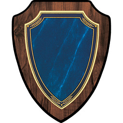 Large 7 x 9 - 8 x 10" Topaz Blue Shield-Shaped Plaque
