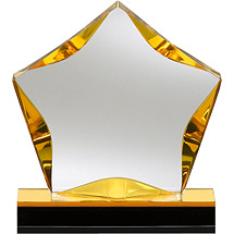 6 x 6" Lucite Star Award