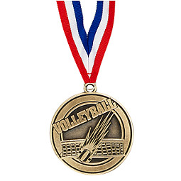2" Volleyball Medal with Ribbon