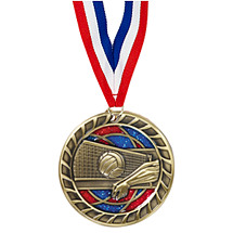 Volleyball Glitter Medal - 2 1/2"