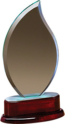 5 x 9" Glass Flame Award