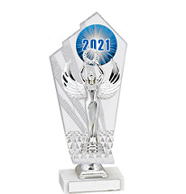 Large 2021 Acrylic Trophy - 11 1/2"