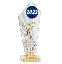 Large 2022 Acrylic Dated Gold Trophy - 11 1/2"