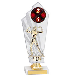 Large 2024 Acrylic Dated Gold Trophy - 11 1/2"