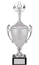 Modern Silver Cup Trophy