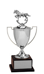Classic Silver Cup Trophy