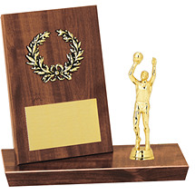 Desktop Trophy