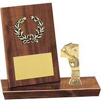 Desktop Trophy