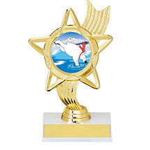 6 1/4" Holographic Star Award