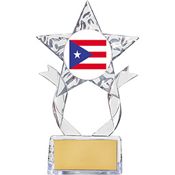 7 1/2" Clear Acrylic Star Emblem Trophy