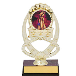7" Gold Oval Star Emblem Trophy