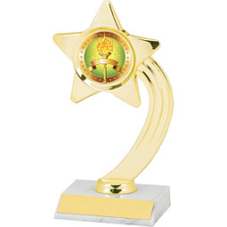 DINN DEAL! 8" Holographic Shooting Star Trophy