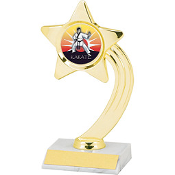 Dinn Deal! 8" Holographic Shooting Star Trophy