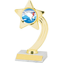Dinn Deal! 8" Holographic Shooting Star Trophy