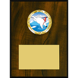 4 x 6 - 5 x 7" Walnut-tone Plaque with a Modern Emblem Holder