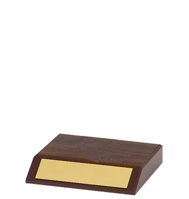 Small Walnut-Tone Participation Trophy | Dinn Trophy