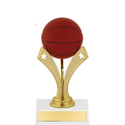 Basketball Trophy - Basketball Trophy with a Star Riser