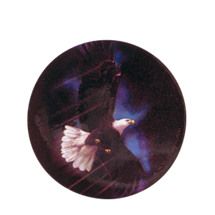 Eagle Holographic Emblem - HG 18 
