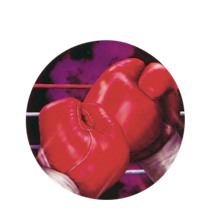 Boxing Holographic Emblem - HG 9 