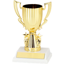 6 1/4" Cup with Stars Trophy with a Marble-tone Base