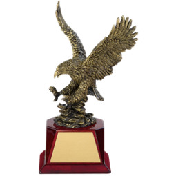 Bronze Eagle Award - 5 x 12" 