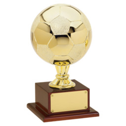 Soccer Trophy - Gold Finish Soccer Ball Trophy