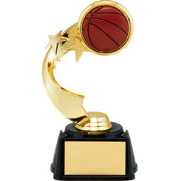 3D Basketball Emblem Trophy with Star Riser