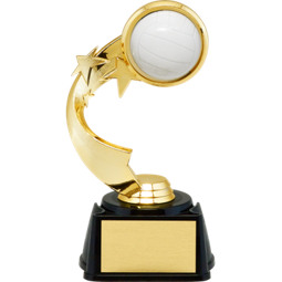 7" 3D Volleyball Emblem Trophy with Star Riser