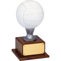 16 1/2" Resin Volleyball Trophy