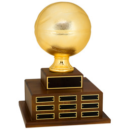 Official Size Basketball Perpetual Award