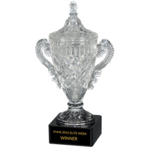 8 x 13 1/4" Elegant Crystal Trophy Cup