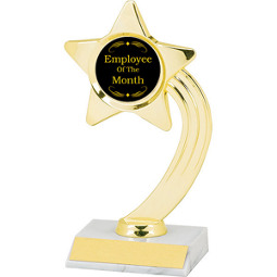 EMPLOYEE OF THE MONTH TROPHY WORK STAR AWARD FREE ENGRAVING 8cm A1903 BOX 33 