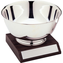 Silver Revere Bowl and Removable Base