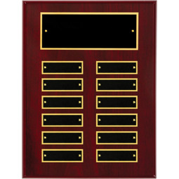9 x 12" Ruby High Gloss Perpetual Plaque - 12 Nameplates