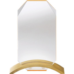 5 1/4 x 7" Sleek and Slender Lucite Award with gold base