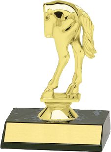 www.dinntrophy.com