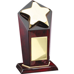 Rosewood Gold Star Pillar Award