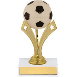Soccer Trophy - Soccer Trophy with a Star Riser