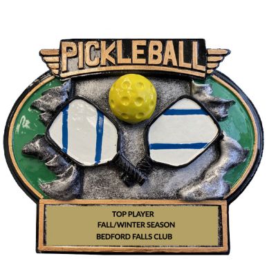 Pickleball 3D Resin Trophy | Dinn Trophy