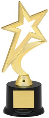 Gold Star Trophy with Black Acrylic Base | Dinn Trophy