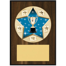 Achievement Plaque - 5 x 7" Star Emblem Plaque
