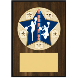 Cheer Plaque - 5 x 7" Star Emblem Plaque