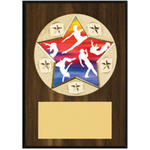Dance Plaque - Star Emblem Plaque