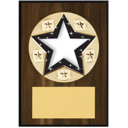 Star Plaque - 5 x 7" Star-Shaped Emblem Plaque