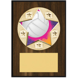 Volleyball Plaque - 5 x 7" Star Emblem Plaque