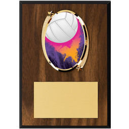 Volleyball Plaque - 5 x 7" Oval Emblem Plaque